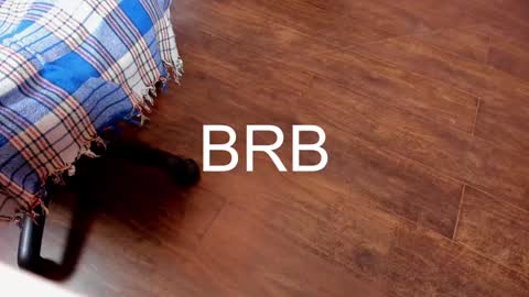 Monika NO c2c ever. PVT free Naked Fingering pussy doggy or standing BJ HJ Feet Fashion. PVT extra Toy control 400tk. online show from February 6, 2025, 11:37 pm