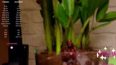 Luna  online show from February 14, 2025, 4:20 pm