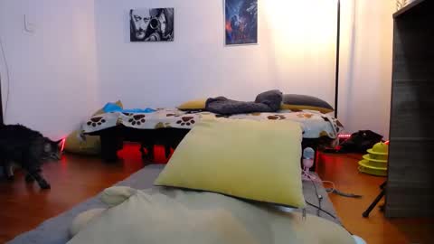 Luna online show from January 28, 2025, 2:43 am