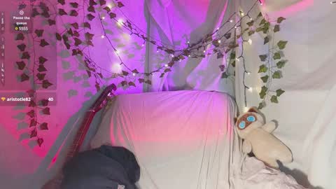 Dana online show from December 11, 2024, 6:09 pm