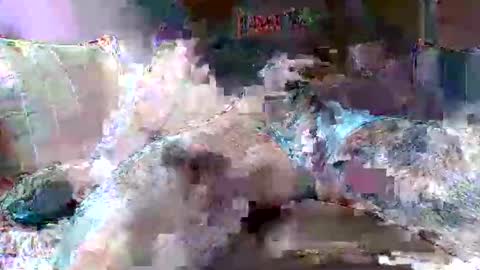 morboso2563 online show from November 21, 2025, 10:30 pm