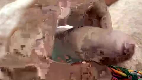 Me online show from January 7, 2026, 7:11 am