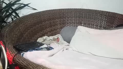 John john online show from February 17, 2025, 4:31 am