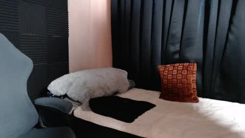 morenojake online show from April 16, 2026, 2:34 am