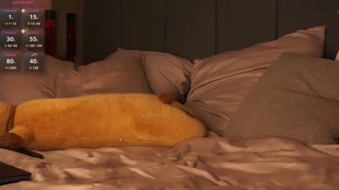 morphe online show from December 20, 2024, 11:26 pm