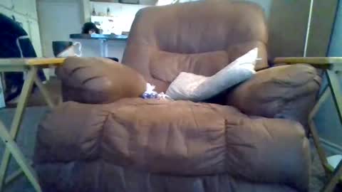 motodub online show from March 1, 2025, 4:00 pm