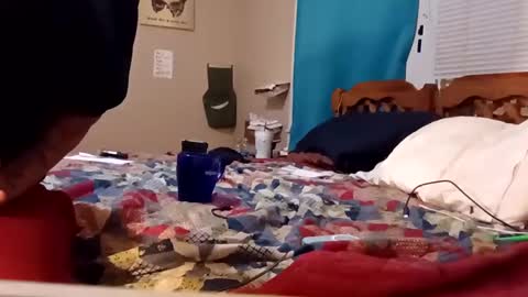 B online show from February 4, 2025, 8:24 am