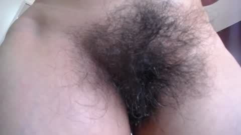 moxa hot online show from January 15, 2025, 8:09 am