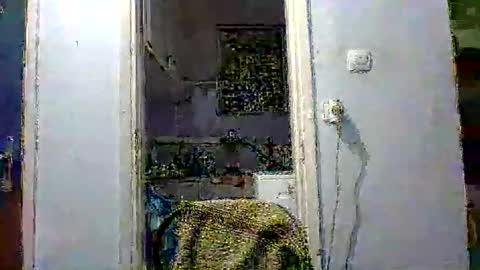 mppempis81 online show from December 2, 2025, 7:31 pm