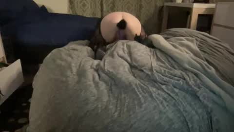 The Honey Pot  Pooh Bear online show from February 17, 2026, 9:28 am