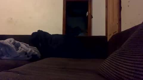 mr_big1983 online show from December 4, 2024, 1:58 am