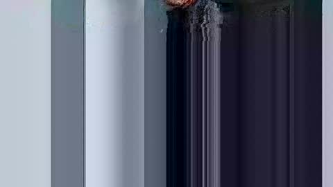 mr_i_ online show from March 10, 2025, 8:37 am