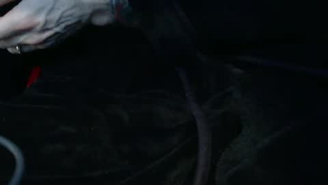 IwantU2WatchME online show from February 8, 2026, 3:15 pm