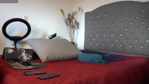 Luis    Instagram   online show from February 15, 2025, 8:01 pm