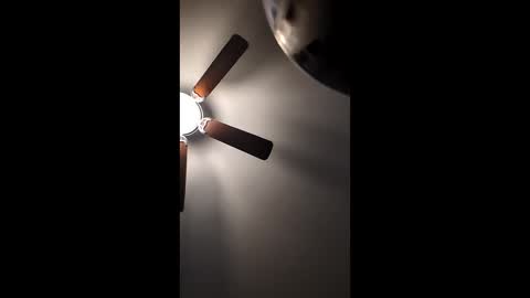 mrorange50187 online show from December 22, 2024, 1:11 pm