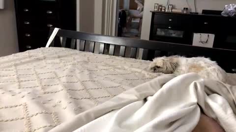 mrrogue online show from November 1, 2025, 5:20 am