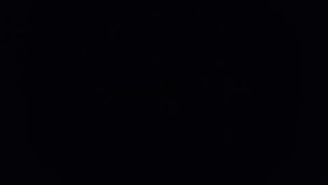 C online show from November 13, 2025, 11:20 am