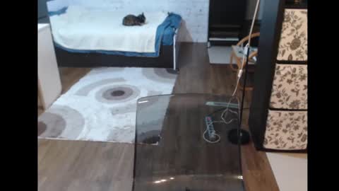 Sasha online show from March 11, 2025, 3:23 pm