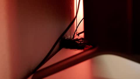 YOUR OWNER online show from March 1, 2025, 6:11 pm