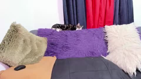 Miss Justine online show from October 31, 2025, 1:17 am