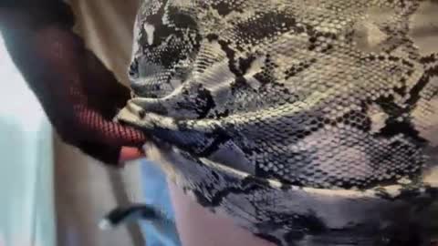 mskarentoy online show from October 6, 2025, 7:55 pm