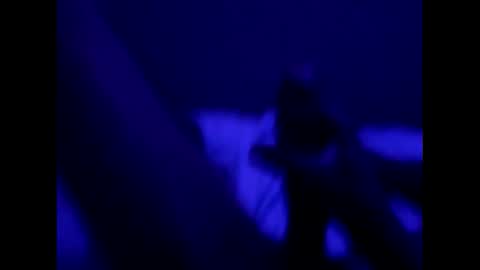 mt220 online show from December 16, 2024, 9:57 am