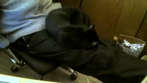 muller520 online show from February 19, 2025, 5:06 pm