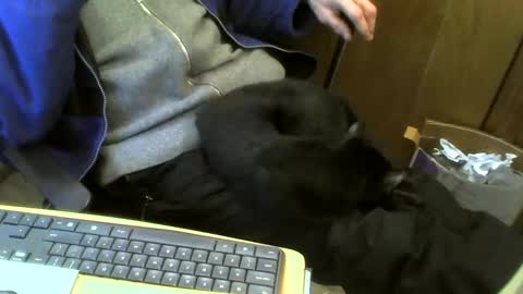 muller520 online show from February 21, 2025, 4:48 pm