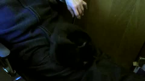 muller520 online show from March 2, 2026, 3:52 pm