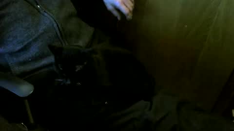 muller520 online show from March 12, 2026, 4:02 pm