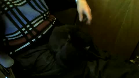 muller520 online show from March 24, 2026, 4:34 pm