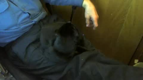 muller520 online show from April 20, 2026, 4:43 pm