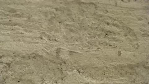 Mullty online show from December 18, 2024, 8:36 pm