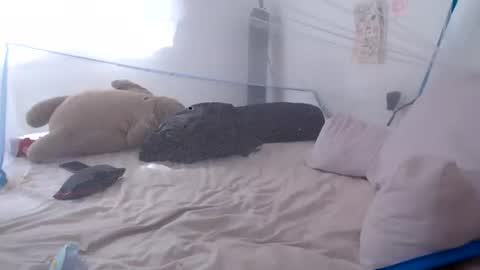 Snapshot of munchi_ chatting on June 28, 2026, 2:23 pm online show from June 28, 2026, 2:23 pm