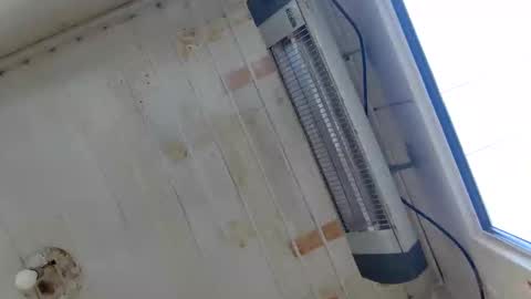 handsome sexy muscular man online show from September 22, 2025, 6:15 am