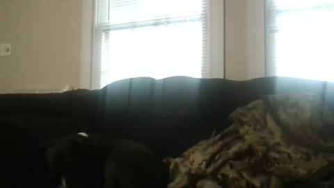 Snapshot of my_banana_creampies chatting on February 19, 2026, 1:51 pm my_banana_creampies online show from February 19, 2026, 1:51 pm