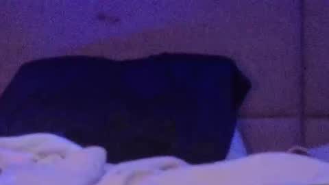 mycloudyalt online show from March 21, 2026, 1:54 am