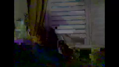 mycockissohard2021 online show from May 2, 2026, 3:55 am