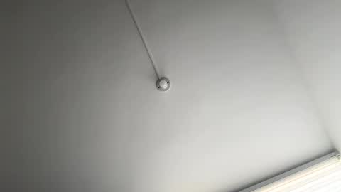 jacke BUNNY online show from March 12, 2025, 8:52 pm