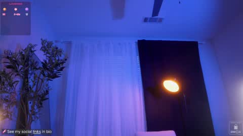 Liss Next stream December1 online show from February 4, 2025, 10:55 pm