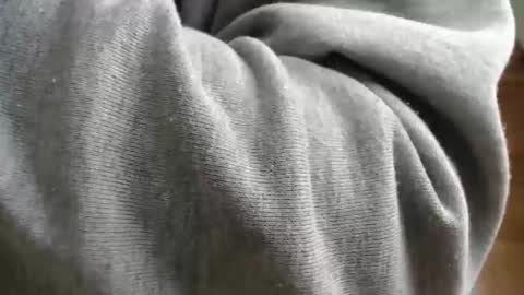 Ben online show from April 23, 2026, 9:08 am