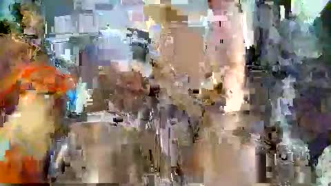 nafertiti online show from November 5, 2025, 4:40 pm