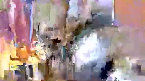 nafertiti online show from November 10, 2025, 3:49 am