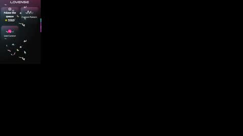   SHELBY   online show from December 2, 2025, 12:10 pm