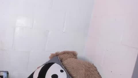 Snapshot of nala_sc chatting on June 3, 2026, 7:44 am nala_sc online show from June 3, 2026, 7:44 am