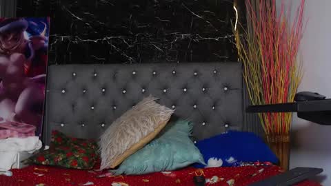 NALAROY online show from December 28, 2024, 11:19 am