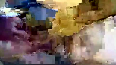 Nane online show from January 8, 2026, 12:51 pm