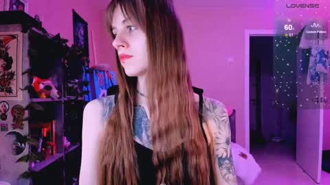 Monday-Friday 12-4 AM and 6-9 AM New York time online show from February 26, 2025, 8:44 pm