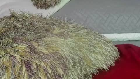 Snapshot of naomy_smithx chatting on December 13, 2024, 11:06 pm Naomy Smith online show from December 13, 2024, 11:06 pm