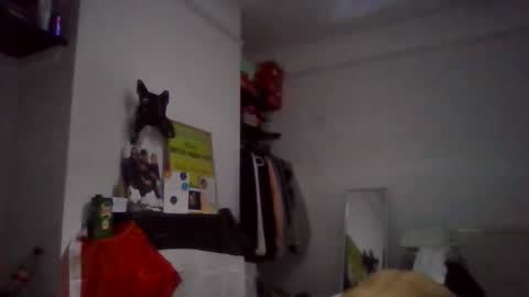 NarcoMarco online show from November 11, 2025, 1:49 am